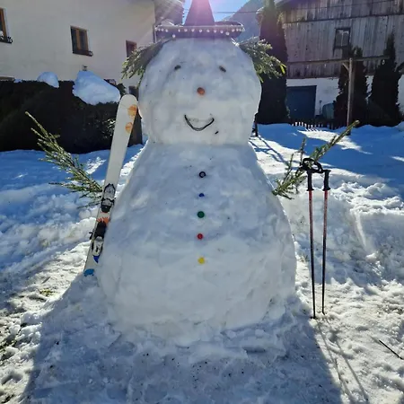 Haus Gfall Guest house