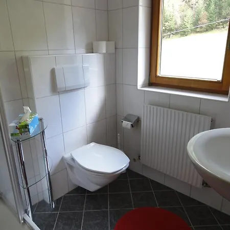 Haus Gfall 4*