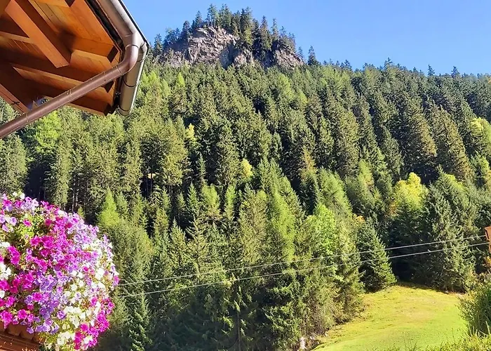 Konukevi Haus Gfall 4*